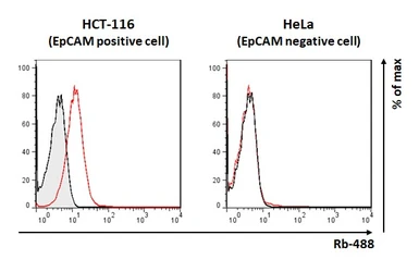 Anti-EpCAM antibody [HL1338] used in Flow cytometry (FACS). GTX636758