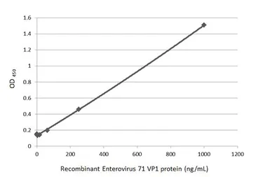 Anti-Enterovirus 71 VP1 antibody [HL1928] used in ELISA (ELISA). GTX637687