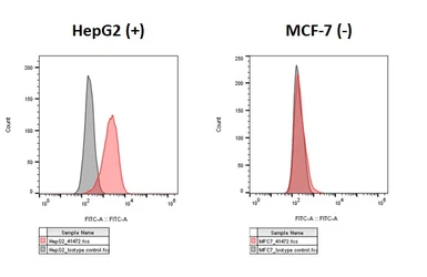 Anti-Her2 / ErbB2 antibody [HL3566] used in Flow cytometry (FACS). GTX641472