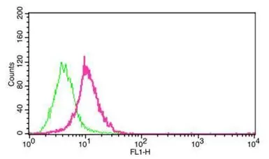 Anti-Carbonic Anhydrase IX antibody [GT12] used in Flow cytometry (FACS). GTX70020