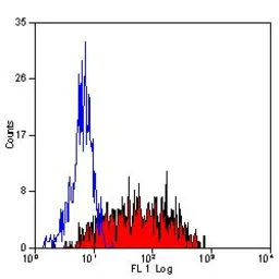 Anti-Integrin alpha 6 antibody [450-30A] used in Flow cytometry (FACS). GTX75044