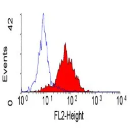 Anti-Integrin alpha 6 antibody [450-30A] (PE) used in Flow cytometry (FACS). GTX75047