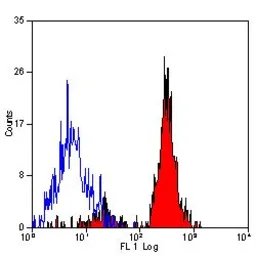 Anti-CD151 antibody [11G5a] used in Flow cytometry (FACS). GTX75456