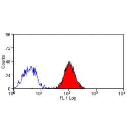 Anti-Integrin alpha 6 antibody [NKI-GoH3] used in Flow cytometry (FACS). GTX76413