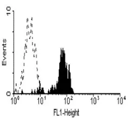 Anti-CD64 antibody [10.1] used in Flow cytometry (FCM). GTX76484