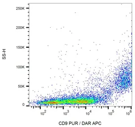 Anti-CD9 antibody [EM-04] used in Flow cytometry (FACS). GTX80172