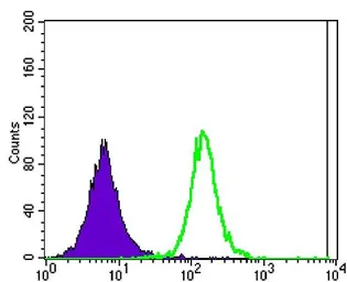 Anti-Ataxin 1 antibody [2F5] used in Flow cytometry (FACS). GTX80399