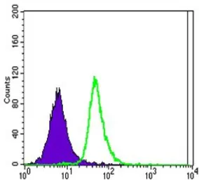 Anti-SLC22A1 antibody [2C5] used in Flow cytometry (FCM). GTX80400