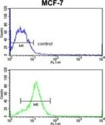 Anti-HMGA1 antibody, C-term used in Flow cytometry (FACS). GTX80558