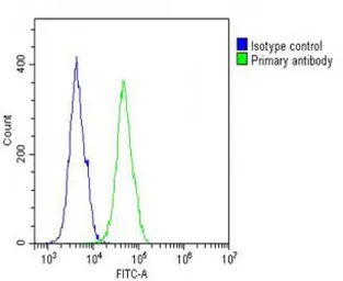 Anti-COL17A1 antibody, Internal used in Flow cytometry (FACS). GTX80563