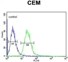 Anti-EDIL3 antibody, Internal used in Flow cytometry (FACS). GTX80621