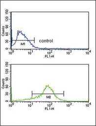 Anti-APEX2 antibody, Internal used in Flow cytometry (FCM). GTX80642
