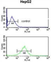 Anti-AGPAT3 antibody, Internal used in Flow cytometry (FACS). GTX81092