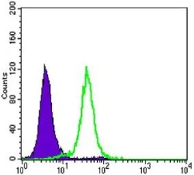 Anti-E-Cadherin antibody [7H12] used in Flow cytometry (FACS). GTX82753