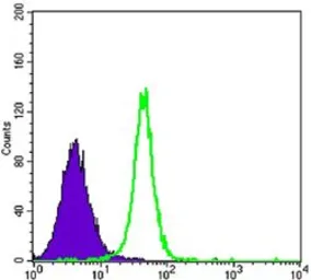 Anti-Hexokinase II antibody [3D3] used in Flow cytometry (FACS). GTX82791