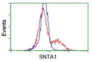 Anti-Syntrophin alpha 1 antibody [1H10] used in Flow cytometry (FCM). GTX83607