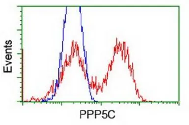 Anti-PPP5C antibody [6F1] used in Flow cytometry (FACS). GTX83838