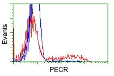 Anti-PECR antibody [2B2] used in Flow cytometry (FACS). GTX83913