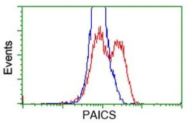 Anti-PAICS antibody [2C9] used in Flow cytometry (FCM). GTX83950