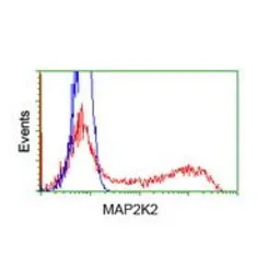 Anti-MEK2 antibody [5F6] used in Flow cytometry (FACS). GTX84166