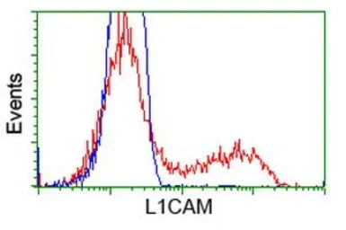 Anti-L1CAM antibody [2G9] used in Flow cytometry (FACS). GTX84232