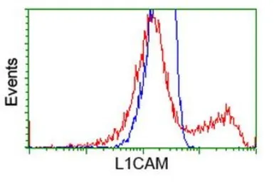 Anti-L1CAM antibody [1A8] used in Flow cytometry (FACS). GTX84236