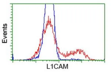 Anti-L1CAM antibody [2C7] used in Flow cytometry (FACS). GTX84241