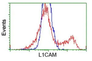 Anti-L1CAM antibody [1H3] used in Flow cytometry (FACS). GTX84244