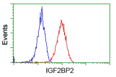 Anti-IGF2BP2 antibody [3G7] used in Flow cytometry (FACS). GTX84303