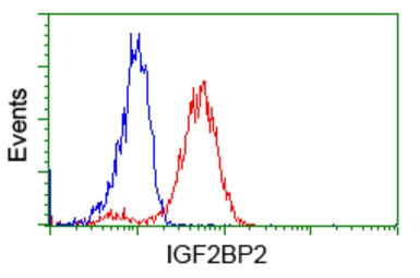 Anti-IGF2BP2 antibody [3G7] used in Flow cytometry (FACS). GTX84303