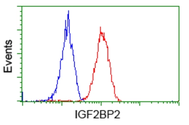 Anti-IGF2BP2 antibody [3F9] used in Flow cytometry (FACS). GTX84306