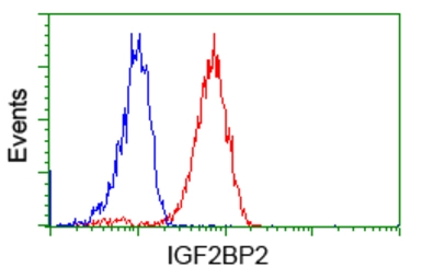 Anti-IGF2BP2 antibody [3F9] used in Flow cytometry (FACS). GTX84306