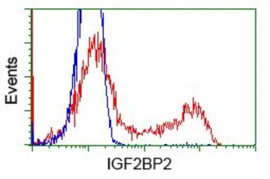 Anti-IGF2BP2 antibody [3F9] used in Flow cytometry (FACS). GTX84306