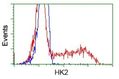 Anti-Hexokinase II antibody [4C5] used in Flow cytometry (FACS). GTX84357