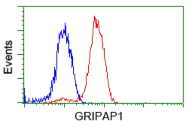 Anti-GRASP1 antibody [1E3] used in Flow cytometry (FACS). GTX84410