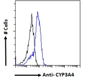 Anti-CYP3A4 antibody, Internal used in Flow cytometry (FACS). GTX89375