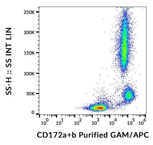 FACS analysis of human peripheral blood using GTX00543 SIRP alpha + SIRP beta antibody [SE5A5].
