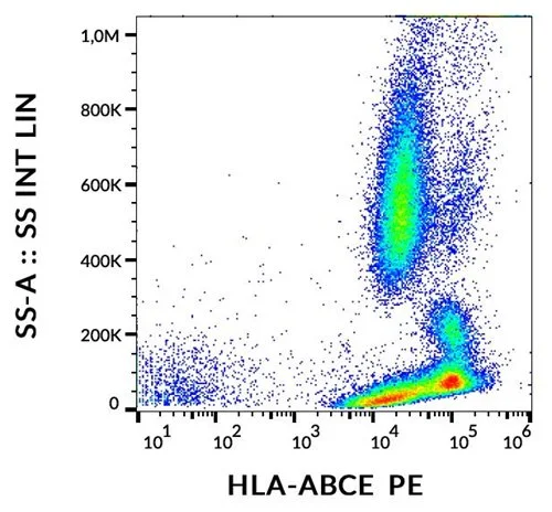 Surface staining of human peripheral blood cells using anti-HLA-ABCE (TP25.99SF) PE.