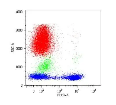 Flow Cytometry analysis of human Peripheral Blood Lymphocytes (PBL) stained with?CD5: FITC antibody (GTX21248) (dilution of purified antibody 1 ug/ml)Fig. 1b Dot plot