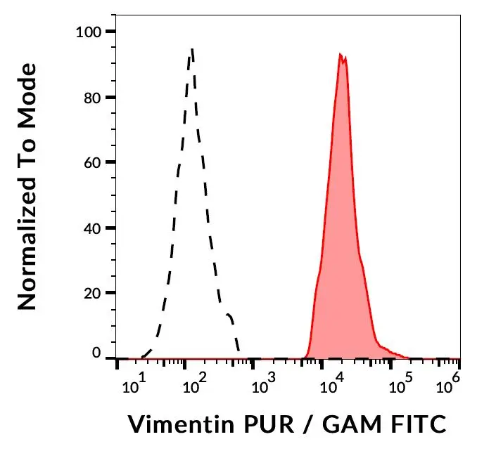 Intracellular flow cytometry analysis of Vimentin expression in LEP-19 human fibroblast cell line using anti-human Vimentin: PE (GTX79851). Overlay with Isotype mouse IgG1 control.