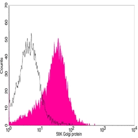 Flow cytometric analysis of HepG2 cells using 58K Golgi protein Antibody,pAb,Rabbit (GTX25820; shaded histogram) or with an isotype control antibody (open histogram),followed by R-PE conjugated anti-rabbit IgG.