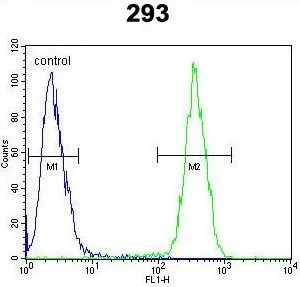 FACS analysis of 293 cells using GTX53477 CLPX antibody. Green: Primary antibody Blue : negative control