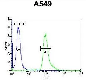 FACS analysis of A549 cells using GTX80950 ABHD12 antibody,N-term. Green : Primary antibody Blue : negative control