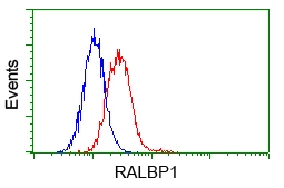 FACS analysis of HeLa cells using GTX83726 RALBP1 antibody [6C6]. Red : Primary antibody Blue : Negative control antibody