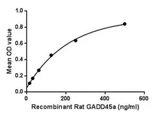Rat GADD45A protein, His tag. GTX00066-pro