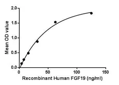 Human FGF19 protein, His tag. GTX00243-pro