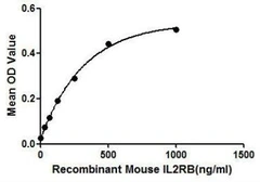 Mouse IL2 Receptor beta protein, His tag. GTX00290-pro