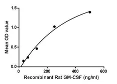 Rat GM-CSF protein, His tag. GTX00365-pro