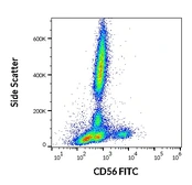 Anti-NCAM antibody [LT56] (FITC) used in Flow cytometry (FACS). GTX00513-06