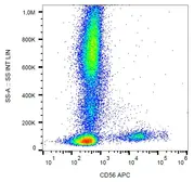 Anti-NCAM antibody [LT56] (APC) used in Flow cytometry (FACS). GTX00513-07